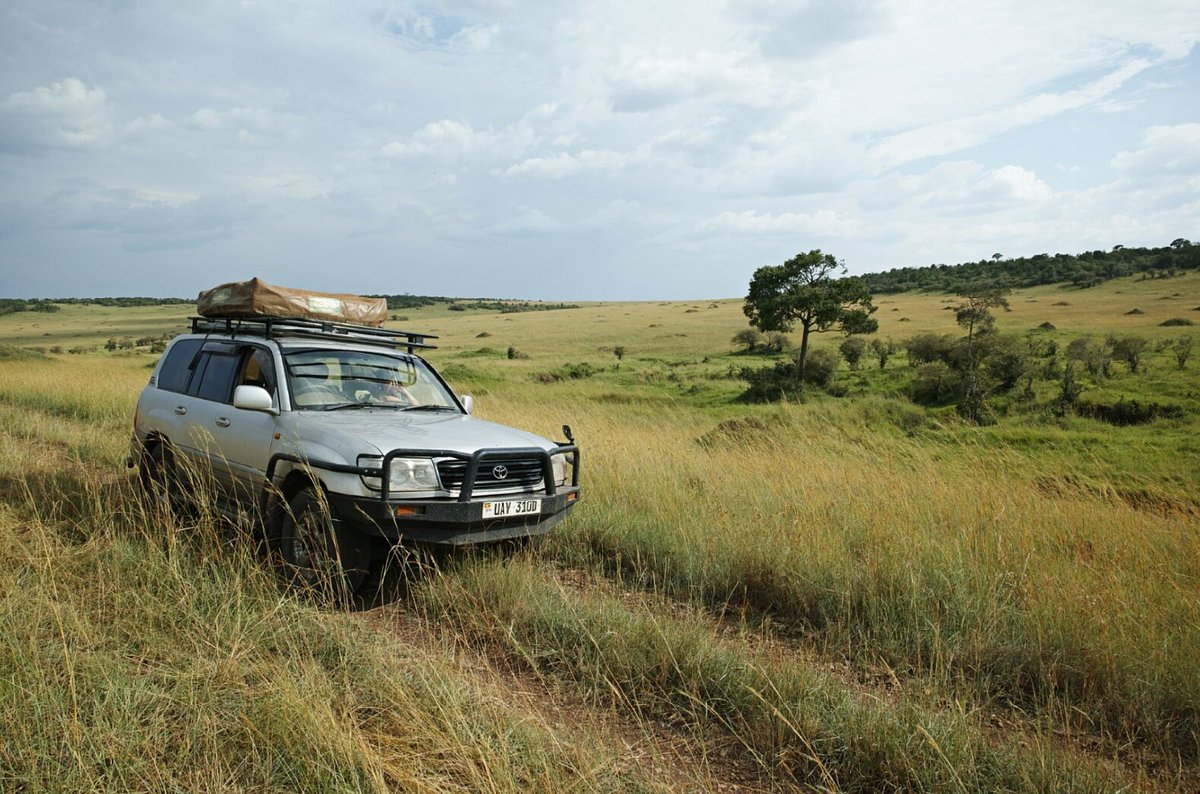 Landcruiser v8 in the wild