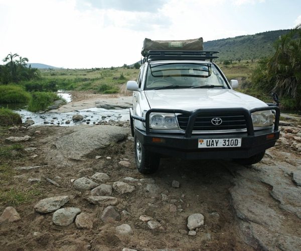 Landcruiser v8 in the wild