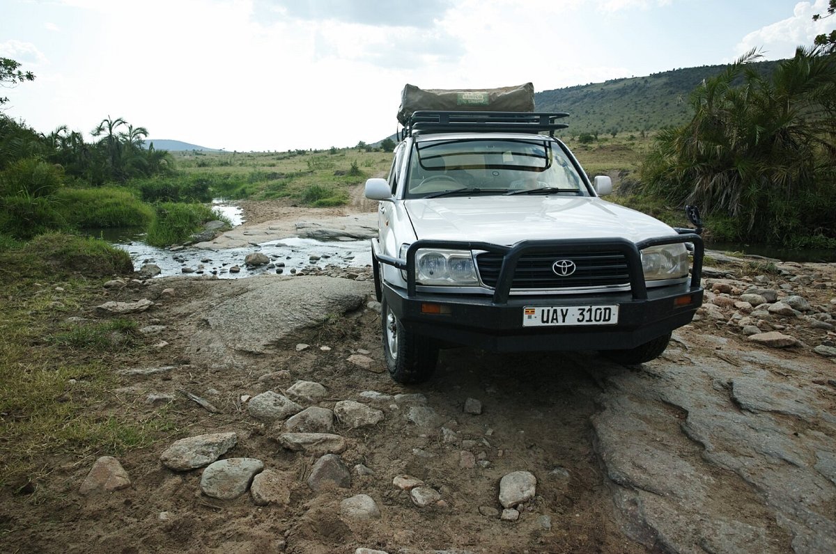 Landcruiser v8 in the wild